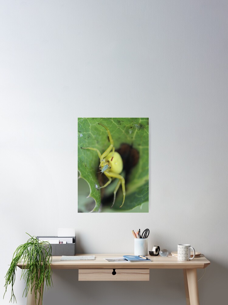 Thumbnail 2 of 3, Poster, Spider designed and sold by RockingLaurie.