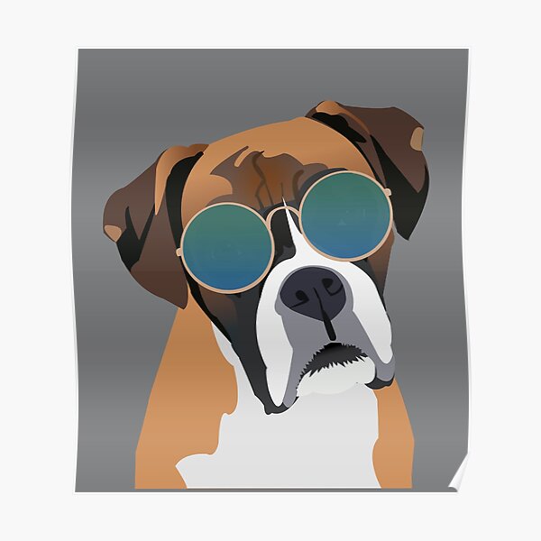 Boxer Dog wearing Sunglasses Poster