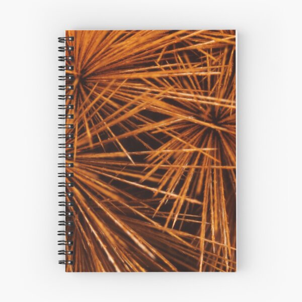 Item preview, Burrs designed and sold by Bill Rockenbeck.