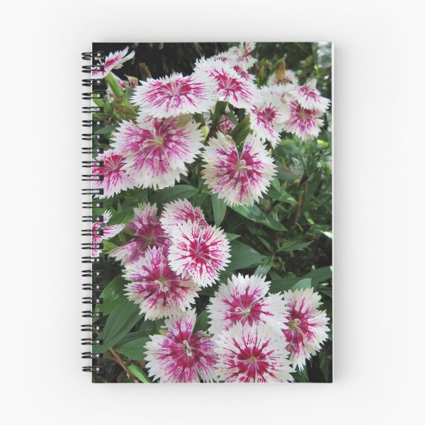 Item preview, Dianthus Flowers designed and sold by Mini-Moments.