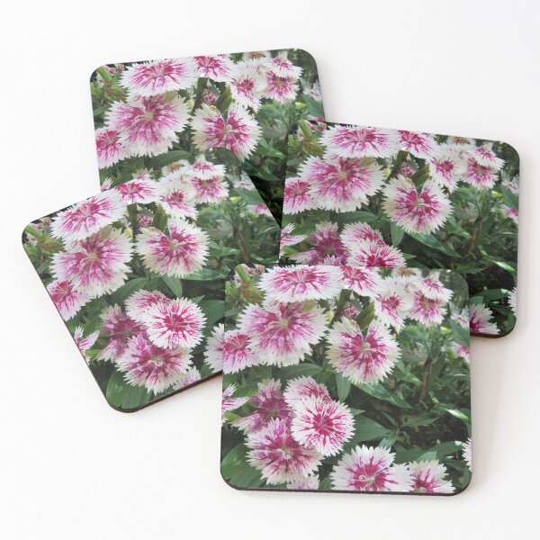 Item preview, Dianthus Flowers designed and sold by Mini-Moments.
