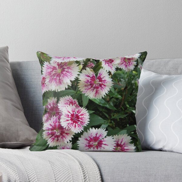 Item preview, Dianthus Flowers designed and sold by Mini-Moments.