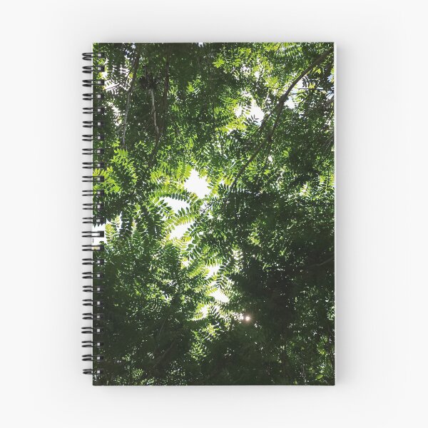 Item preview, "Canopy" designed and sold by Robert Regenold's Art Shop.