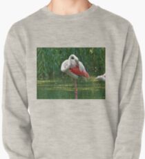 Bird Pullover
