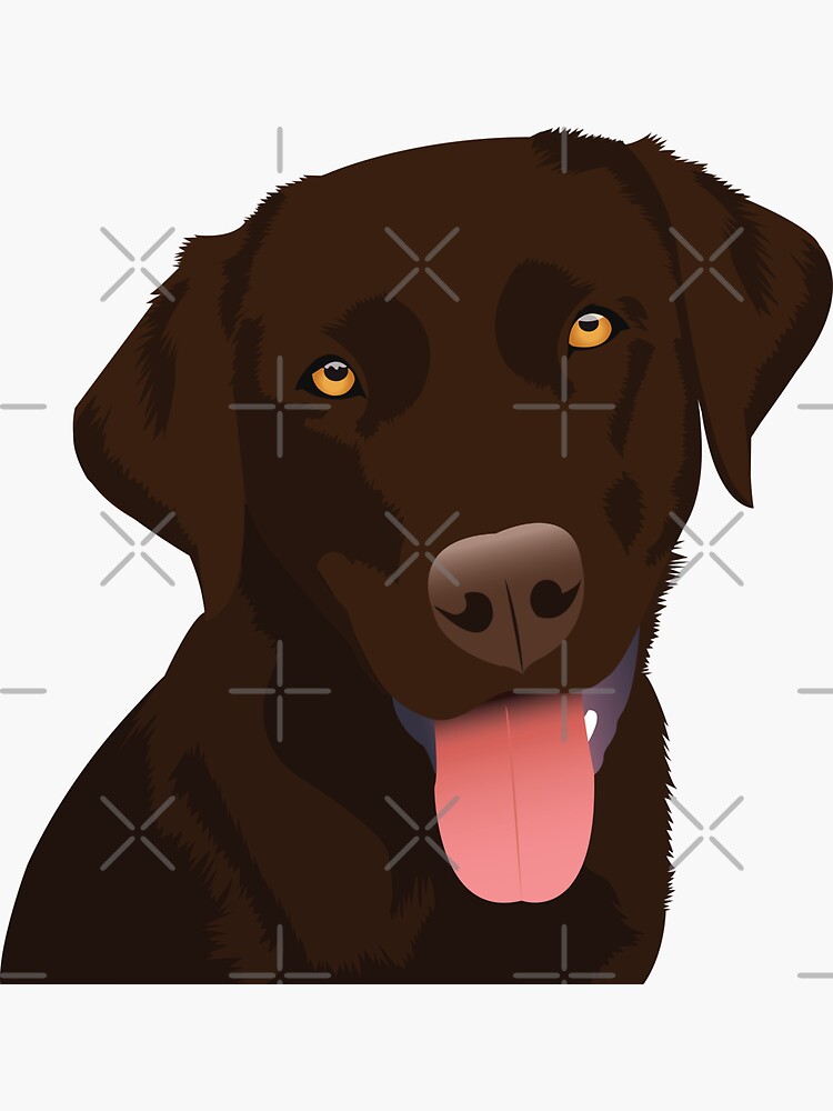 "Chocolate Lab" Sticker for Sale by KCPetPortraits Redbubble