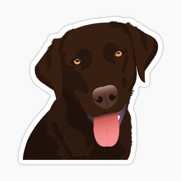 Chocolate Lab in a Yeti Cooler  Sticker for Sale by Cactus0