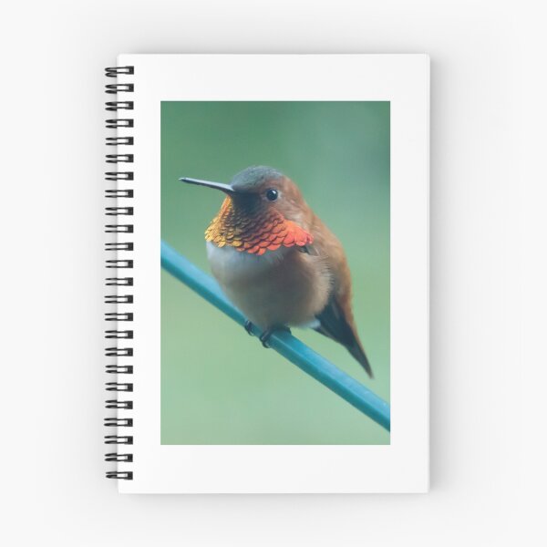 Item preview, Hummingbird designed and sold by Bill Rockenbeck.