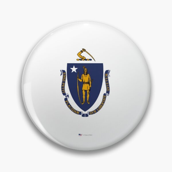 Item preview, MASSACHUSETTS STATE FLAG PRIDE MASK PIN TEE designed and sold by denisetees.