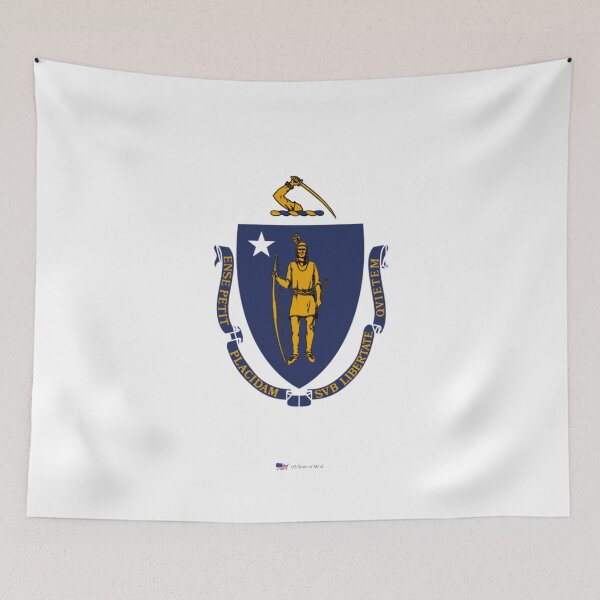 Item preview, MASSACHUSETTS STATE FLAG PRIDE MASK PIN TEE designed and sold by denisetees.