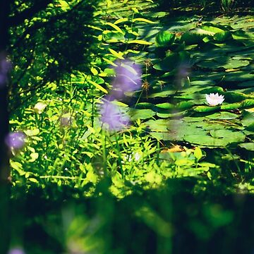 Artwork thumbnail, Water Lily by Mallorn