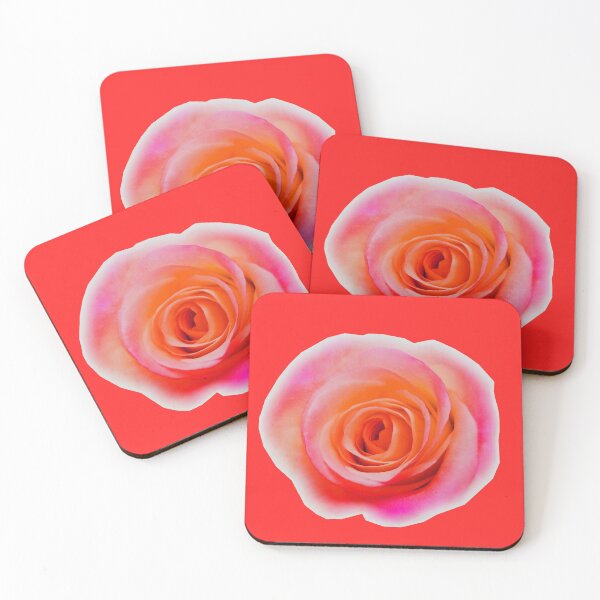 Artikelvorschau, Fuchsia und Mandarine
Fotografie von Wendy C. entworfen und verkauft von IgniteWithin.