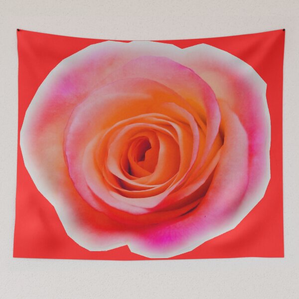 Aperçu de l'œuvre Fuchsia et mandarine
Photographie par Wendy C. créée et vendue par IgniteWithin.