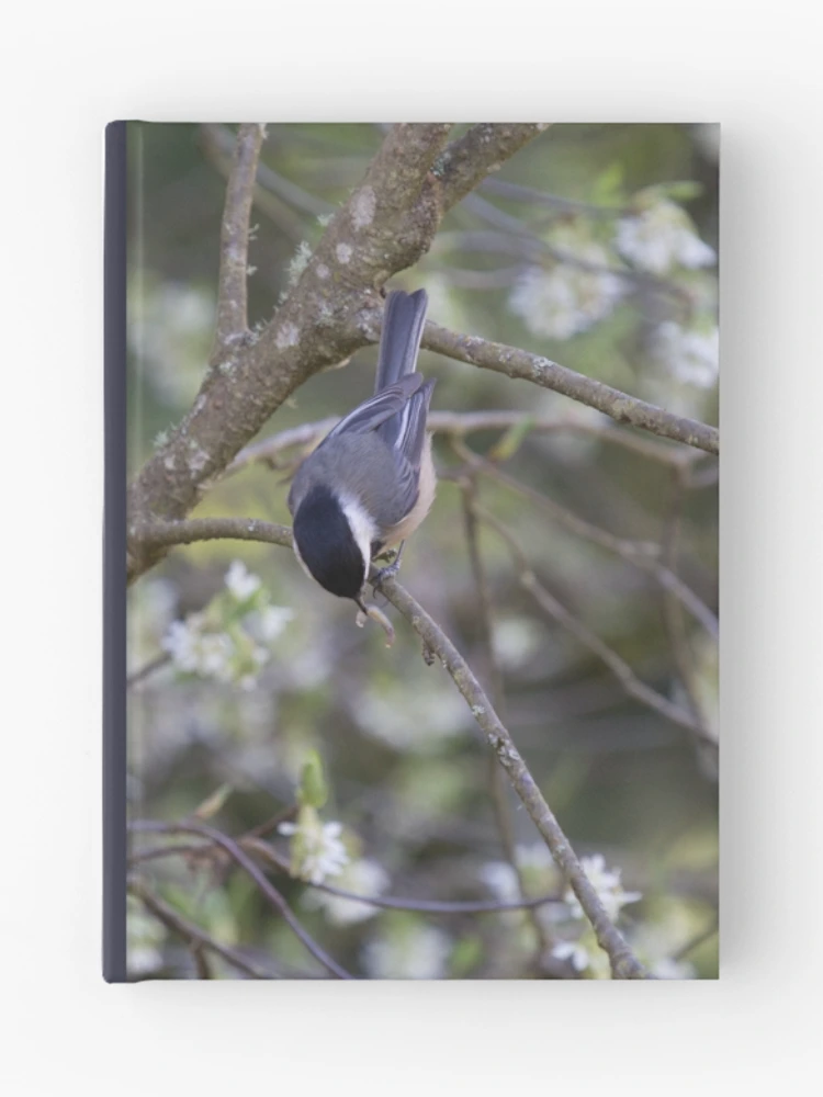 Thumbnail 1 of 3, Journal, Early-Bird Nuthatch designed and sold by Bill Rockenbeck.