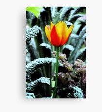 Unnatural Canvas Print