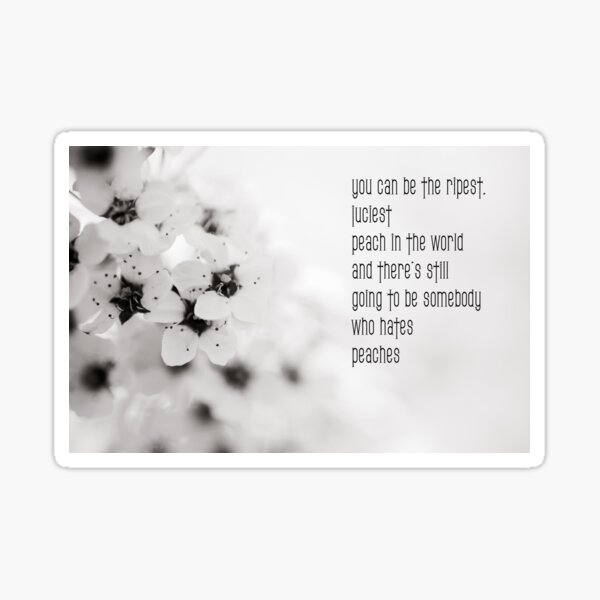 You can be the ripest, juiciest peach in the world, and there's still going to be somebody who hates peaches. Sticker