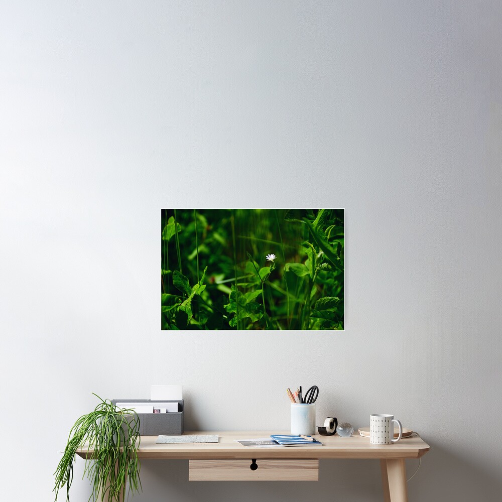 Item preview, Poster designed and sold by Mallorn.