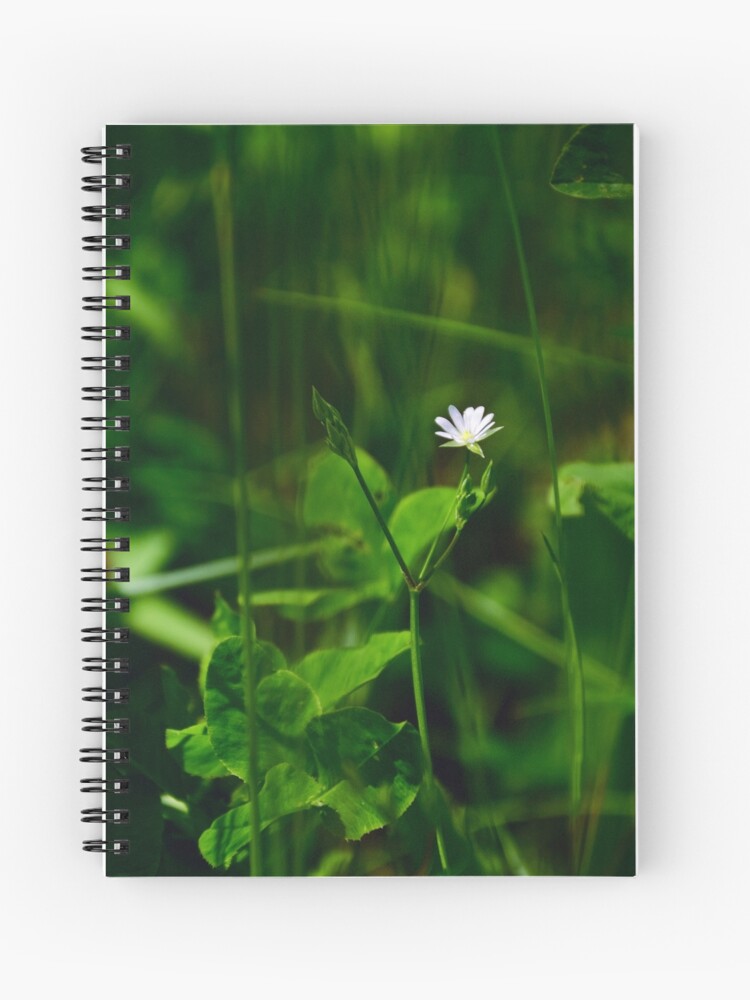 Thumbnail 1 of 3, Journal, Green and White designed and sold by Mallorn.