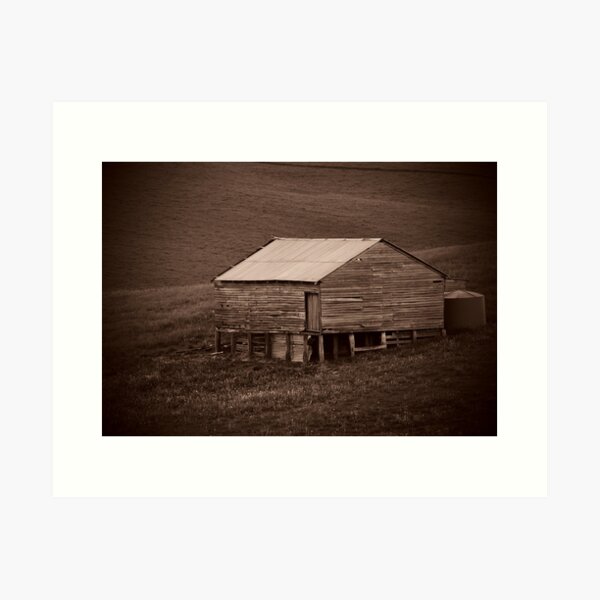 Item preview, Shearing Shed designed and sold by Dave Callaway.