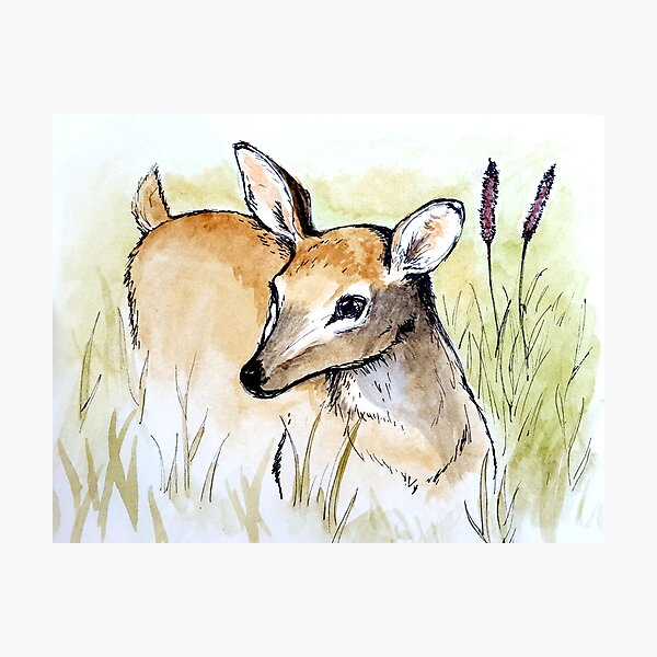 Item preview, Doe in Tall Grass designed and sold by alexandrajeanne.
