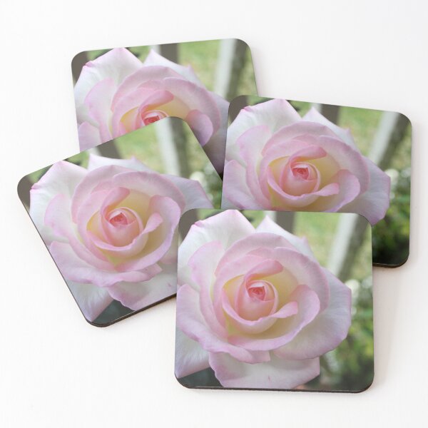 Item preview, Rose blooming  designed and sold by ljdewet.