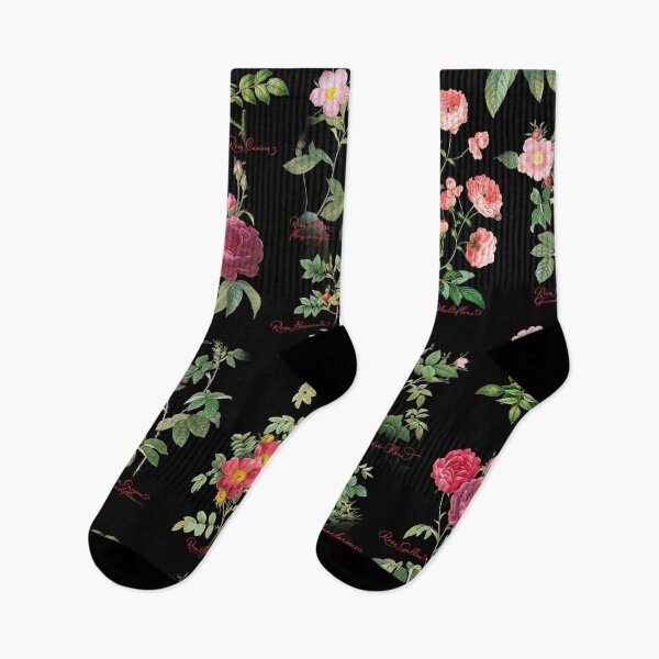 Item preview, Roses Varieties, Botanical, Vintage Flowers, Rosa Vintage Design designed and sold by bigraydesigns.