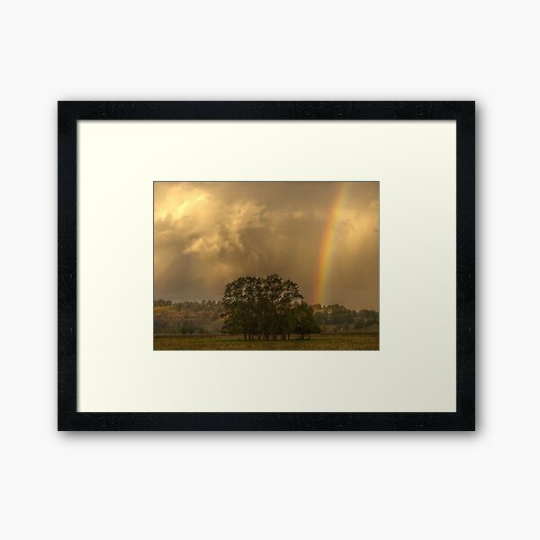 Framed Art Print