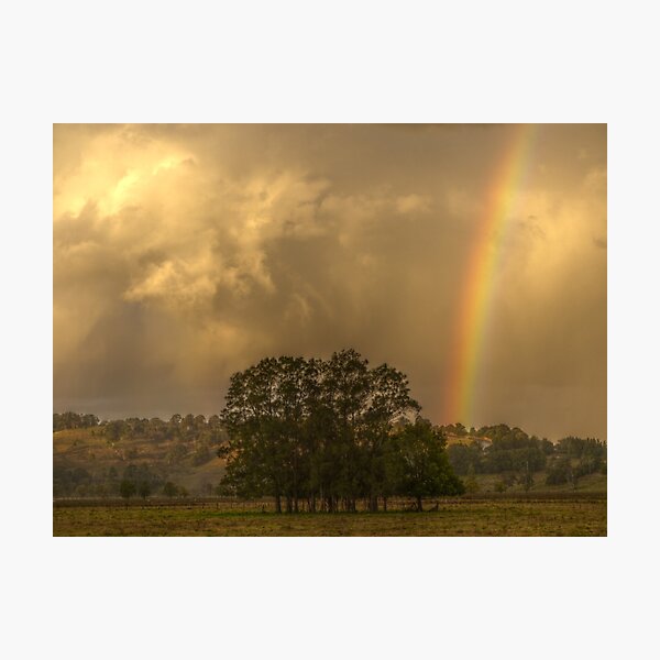 Photographic Print