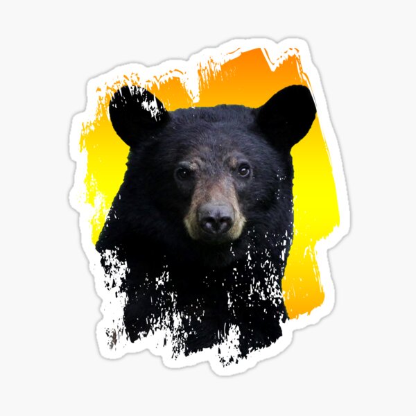 Wild Bear Animal Face Art Sticker