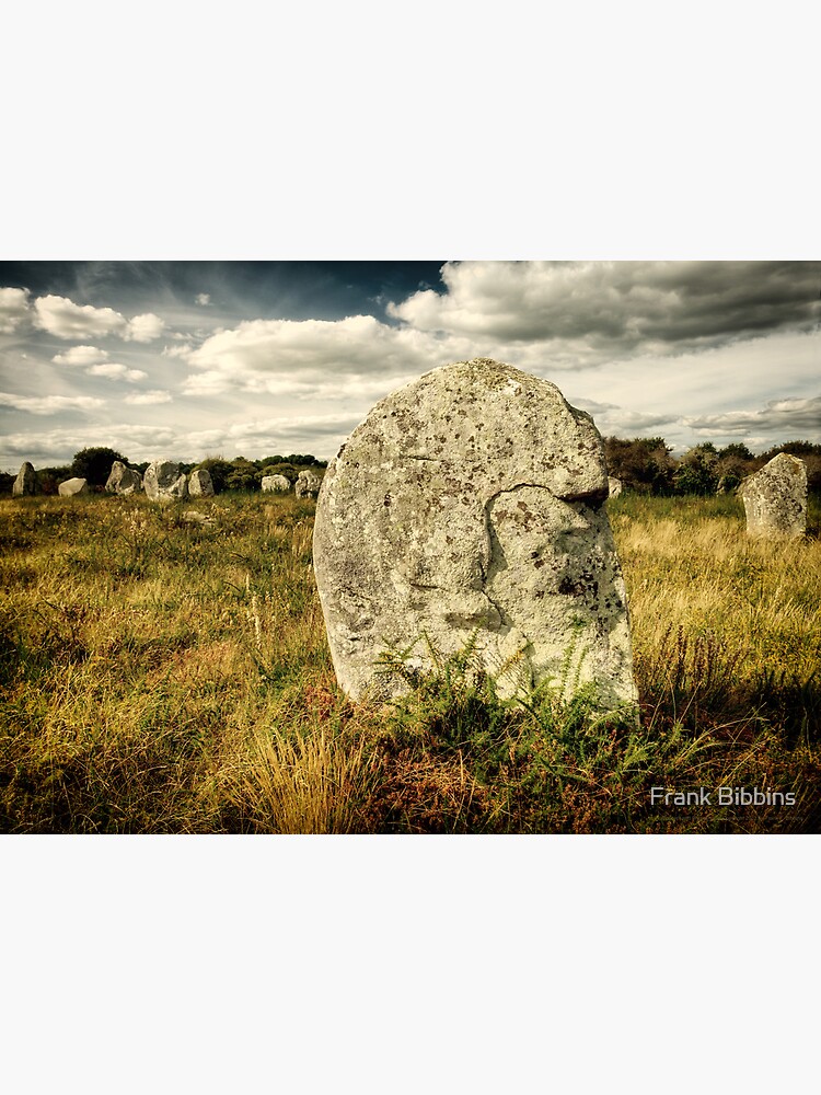 Spirit in Stone, Carnac 2012 by organicman2