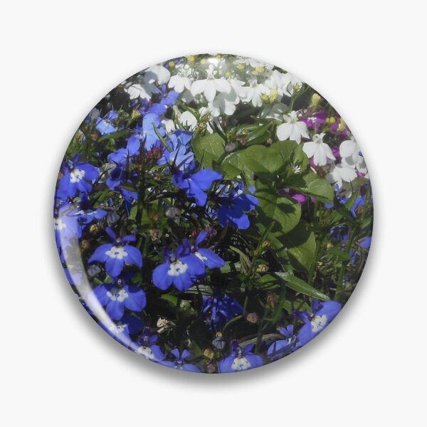 Item preview, Colourful Lobelia designed and sold by MidnightMelody.