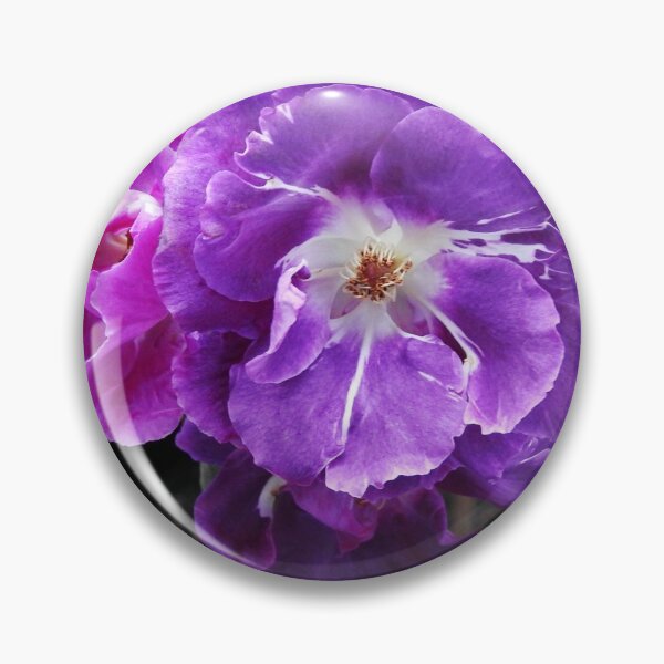 Item preview, Floribunda Roses designed and sold by MidnightMelody.