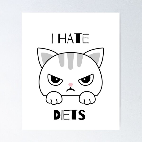 Item preview, I hate diets designed and sold by mademan3.