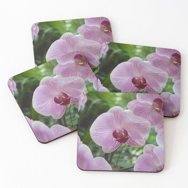 Item preview, Orchids II designed and sold by Jacquelie.