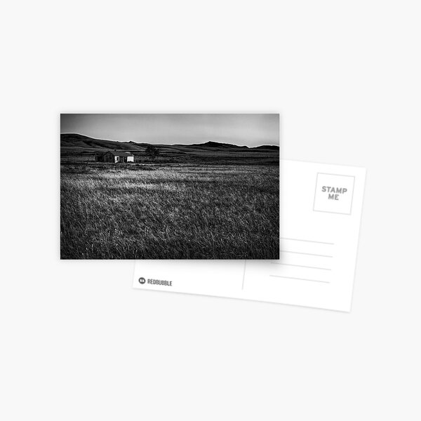 tired of being alone Postcard