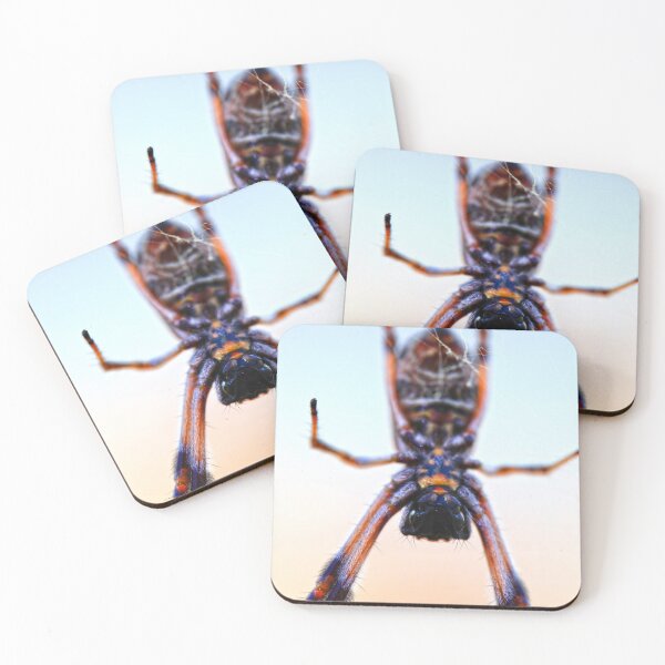 Item preview, Friendly neighbourhood spider designed and sold by evolutionx.