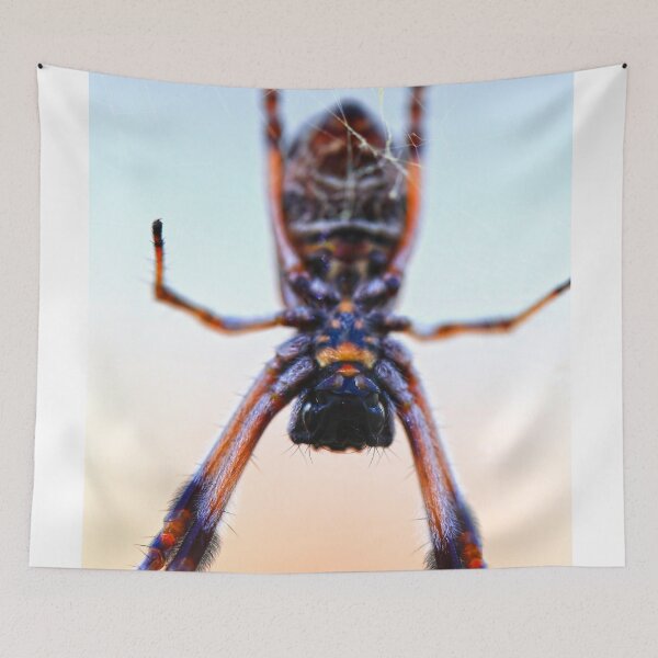 Item preview, Friendly neighbourhood spider designed and sold by evolutionx.