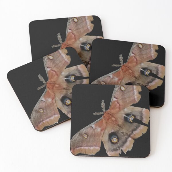 Item preview, MOTH designed and sold by STUDIOTHREE13.