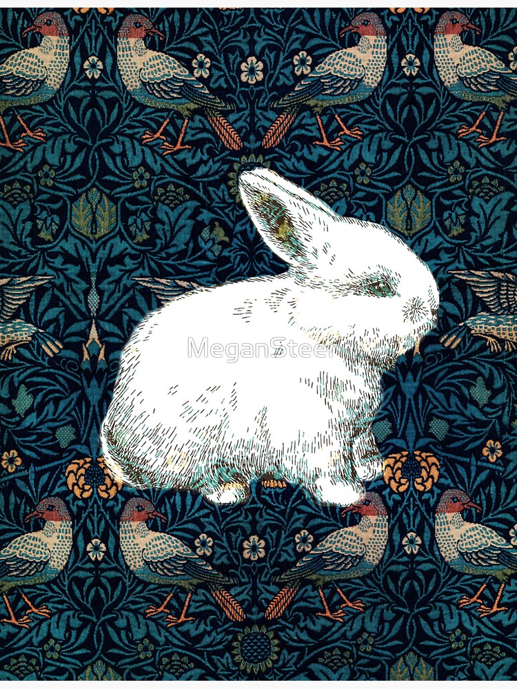 A Rabbit in Morris's Garden by MeganSteer