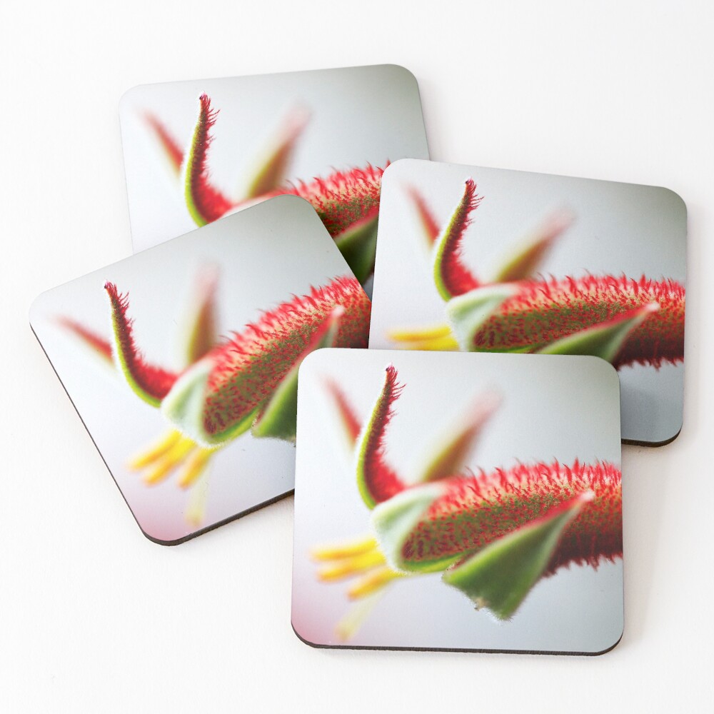 Item preview, Coasters (Set of 4) designed and sold by evolutionx.
