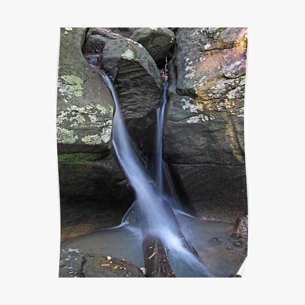 Rainforest Waterfall Poster