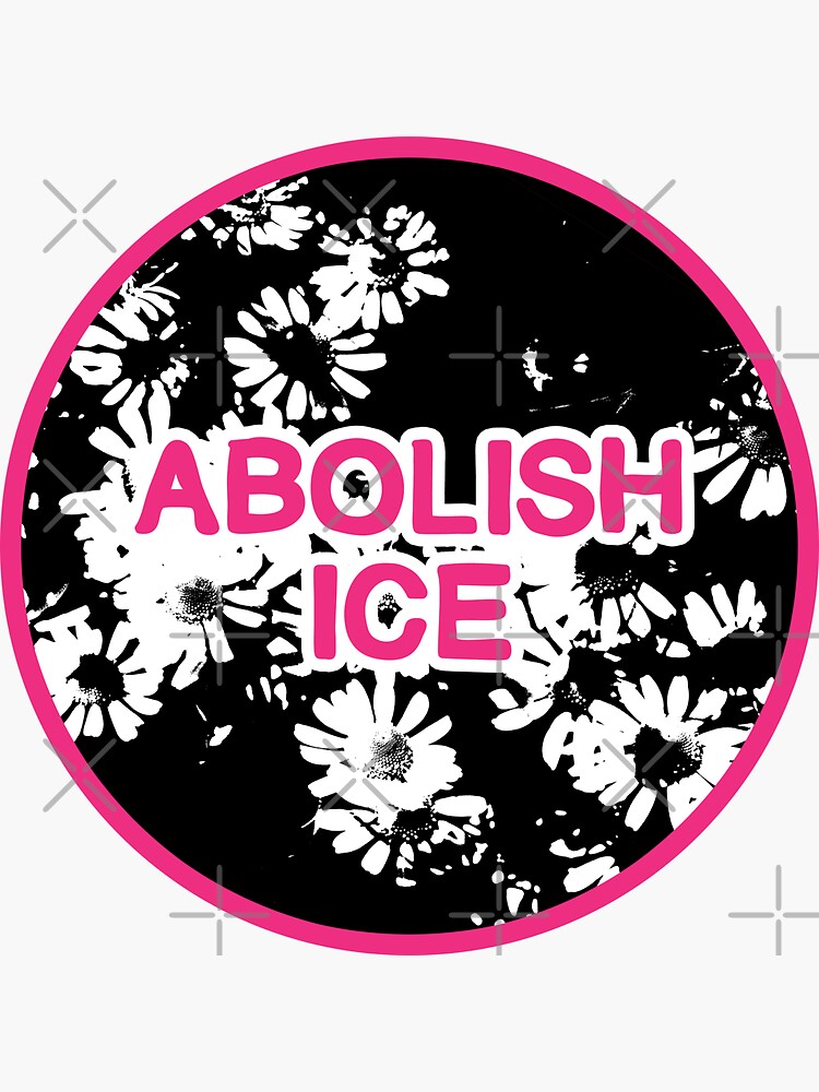 abolish ice | disarm defund dismantle by craftordiy