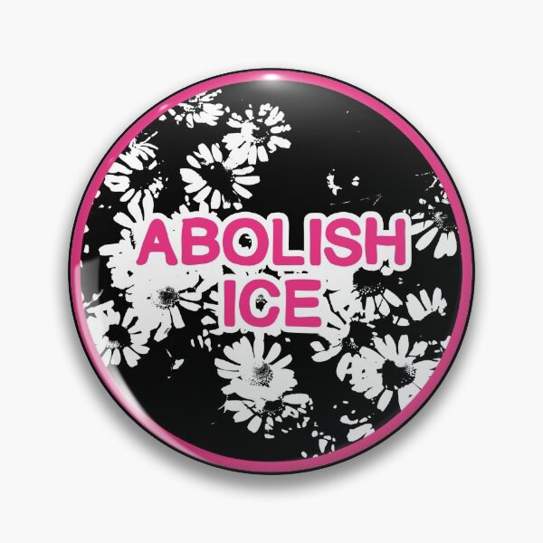 abolish ice | disarm defund dismantle Pin