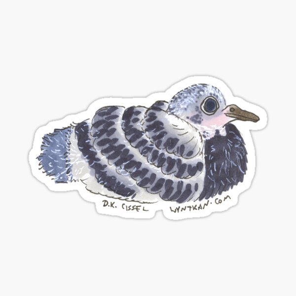 Baby Pigeon Sticker