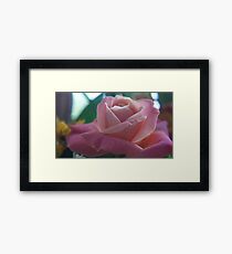 Close up Nature Framed Print
