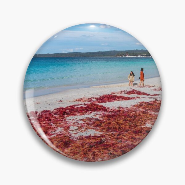 Item preview, Red Seaweed and Blue Water, Hyams Beach NSW designed and sold by PHphotographyAU.