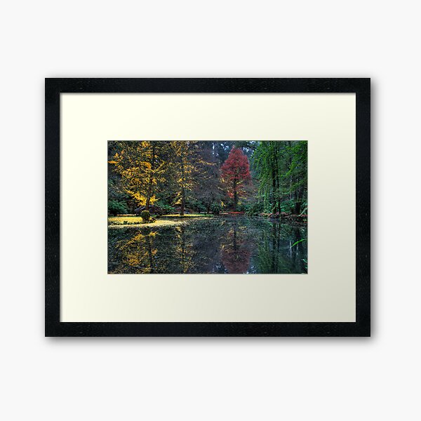 Item preview, Alfred Nicolas Gardens designed and sold by Dean Prowd Panoramic Photography.