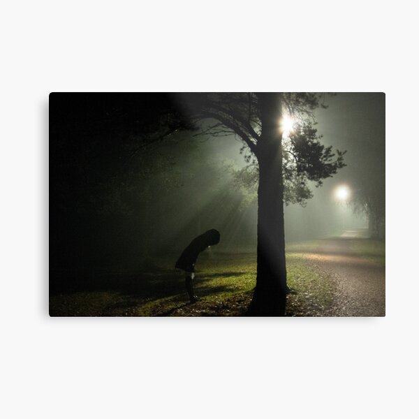 Kvällsdimma Metal Print