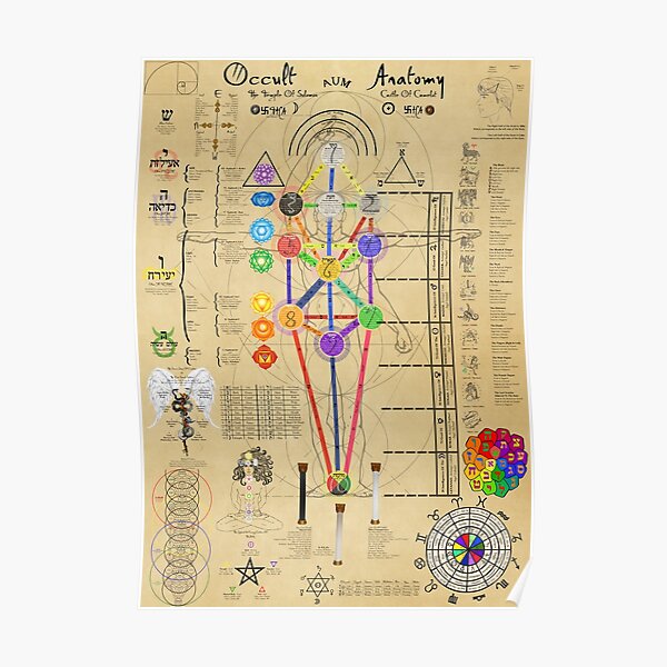 Occult Anatomy Poster