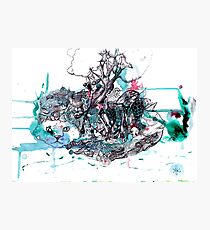 The Cat's Cradle Photographic Print