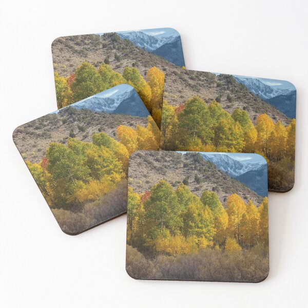 Item preview, Aspen Forest in Autumn  designed and sold by jvnimages.